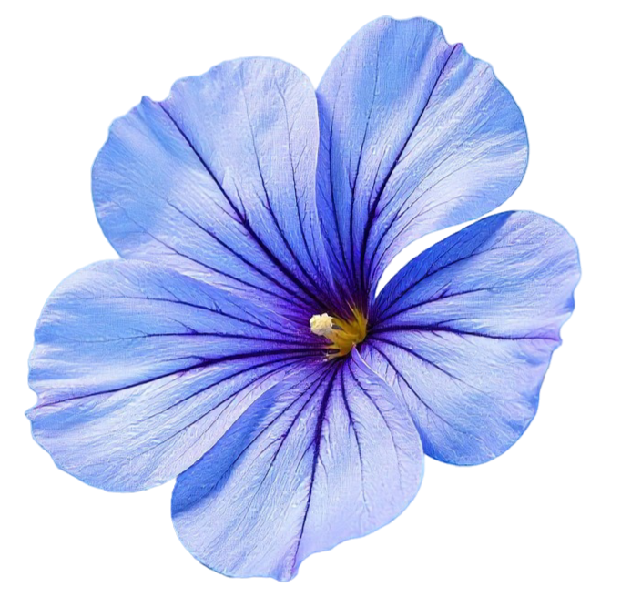 Decorative image of garnish, a flower